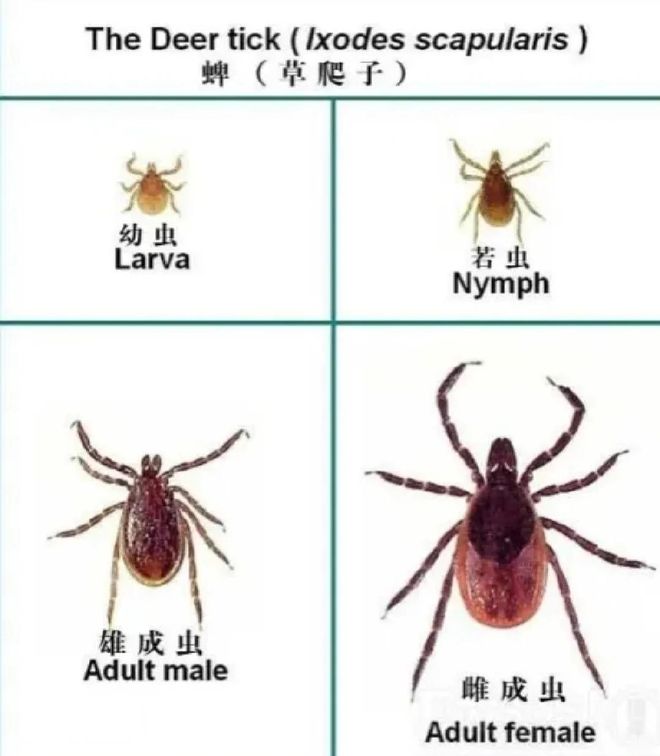 CBA本土得分王!郭昊文:现在真不去夜店 咋不说我有100个对象